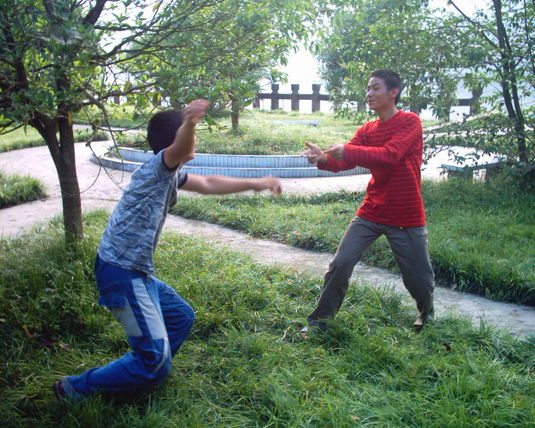 2006  (69)